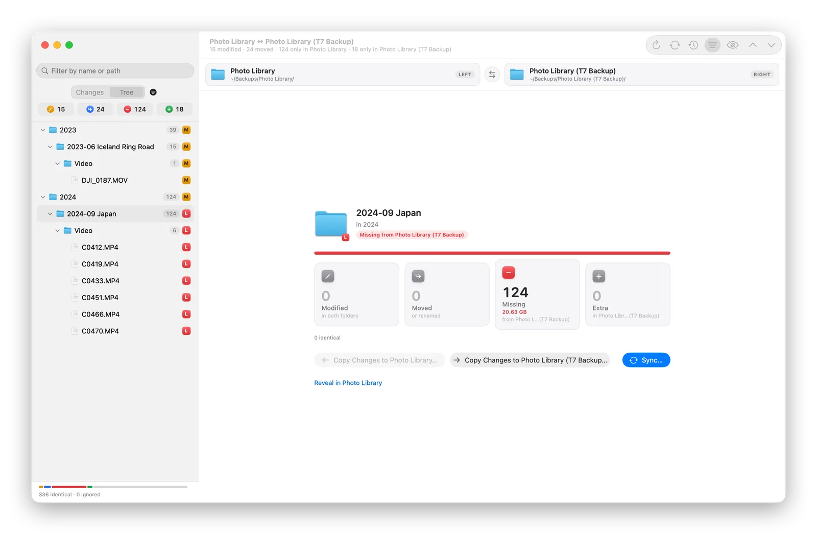 Ordnerbaum, auf Videos gefiltert, mit sechs Videos, die im Backup fehlen.